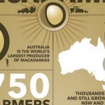 Australian Macadamias: an Infographic